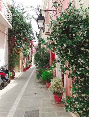 parlak Begonvil Yunanistan ile geleneksel sokak 