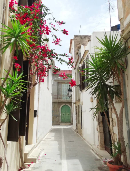 Традиционная улица с яркой Bougainvillea в Греции — стоковое фото