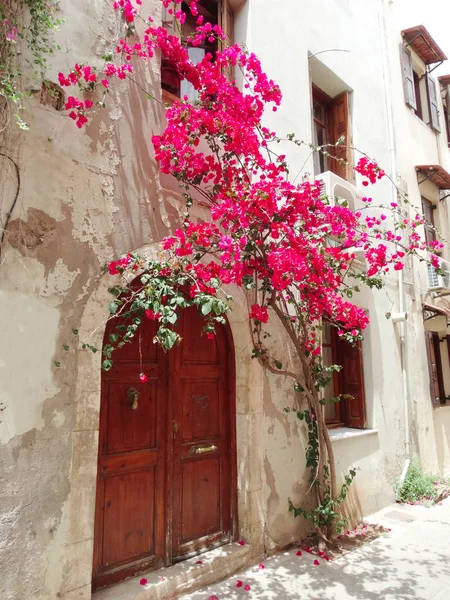 Hagyományos utcai világos bougainvillea, Görögország — Stock Fotó