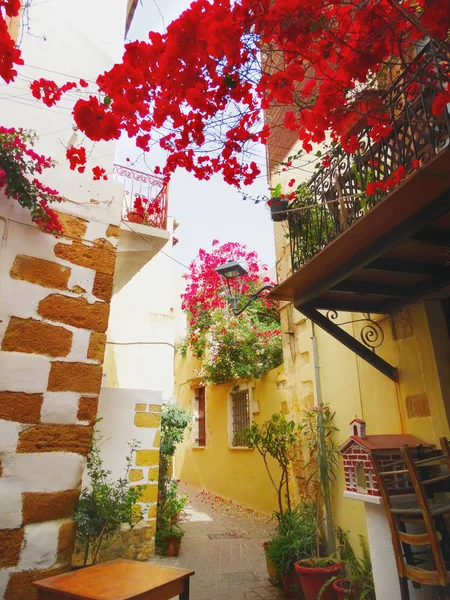 Hagyományos utcai világos bougainvillea, Görögország — Stock Fotó