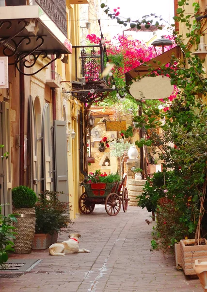 Rue traditionnelle avec bougainvilliers lumineux en Grèce — Photo
