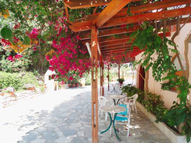parlak Begonvil Yunanistan ile geleneksel Teras 