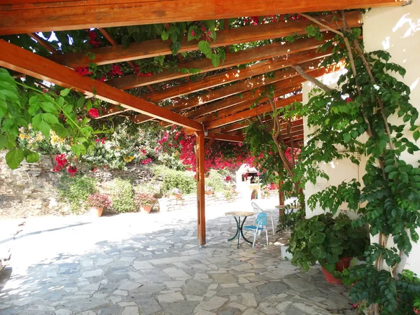 Terraza tradicional con buganvillas luminosas en Grecia — Foto de Stock