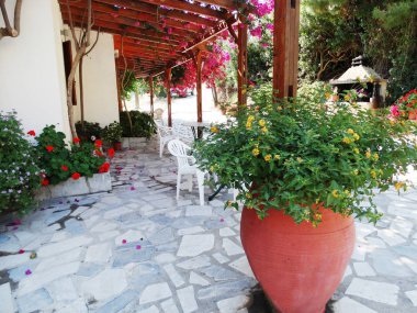 parlak Begonvil Yunanistan ile geleneksel Teras 
