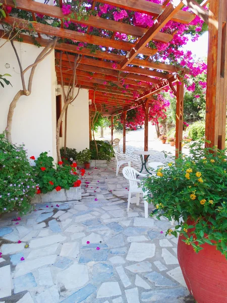 Traditionelle terrasse mit hellen bougainvillea in griechenland — Stockfoto