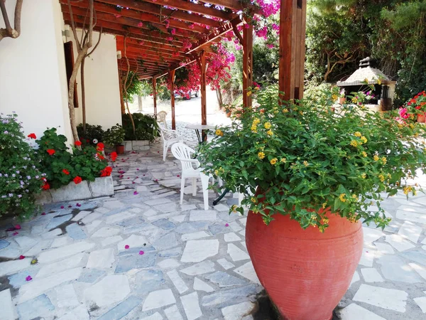 Traditionele terras met heldere bougainvillea in Griekenland — Stockfoto