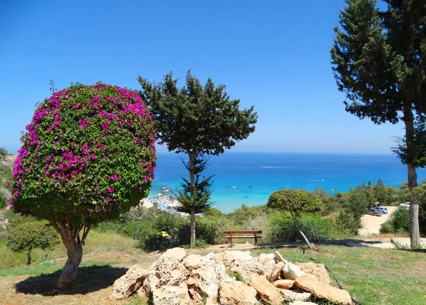 plaj sahil peyzaj Akdeniz deniz Kıbrıs Adası 