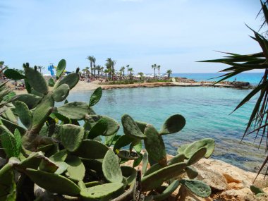 plaj sahil peyzaj Akdeniz deniz Kıbrıs Adası 