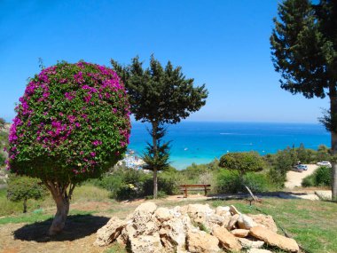 plaj sahil peyzaj Akdeniz deniz Kıbrıs Adası 