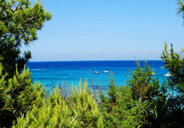 kayalık sahil peyzaj Akdeniz deniz Kıbrıs Adası 