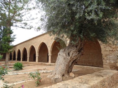 geleneksel kilise Manastırı mimari Kıbrıs Adası