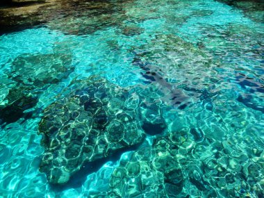 doku kum plaj yaz tatil arka plan su