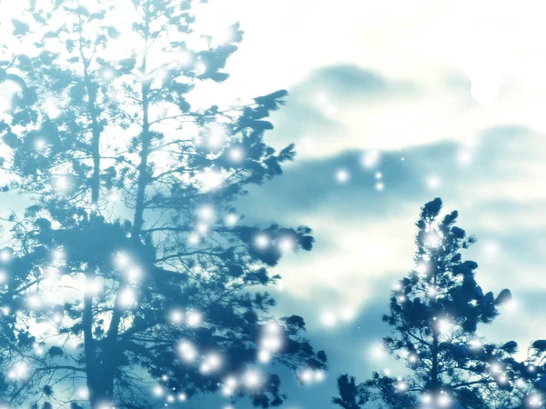 Vinter landskap skog i snö frost med soliga ljusstrålar — Stockfoto