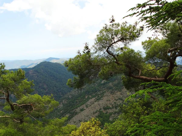 Bergen troodos landschap zee Cyprus eiland — Stockfoto