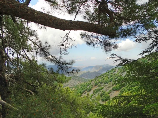 Mountains troodos landscape sea Cyprus island — Stock Photo, Image