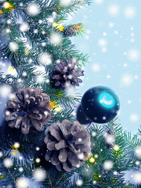 Composizione decorativa natalizia con rami di abete e neve — Foto Stock