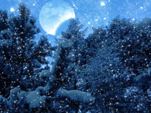 Bosque de paisaje de invierno en heladas de nieve con luna y estrellas — Foto de Stock