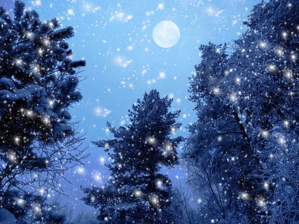 Winterlandschaft Wald im Schneefall mit Mond und Sternen — Stockfoto