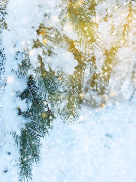 雪と雪のクリスマス ライトの背景 — ストック写真