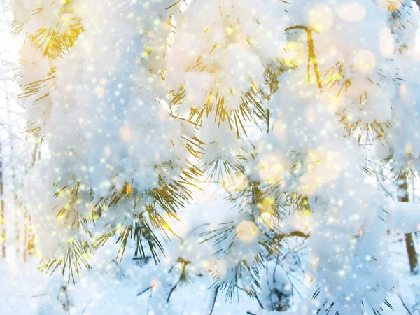 Natal luzes fundo com neve e flocos de neve — Fotografia de Stock