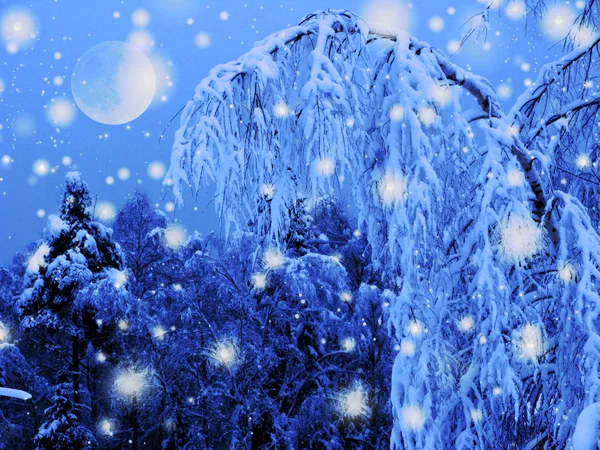Winterlandschaft Wald im Schnee Frost mit Mond — Stockfoto