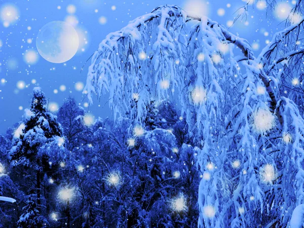 Winter landscape forest in snow frost with moon — Stock Photo, Image