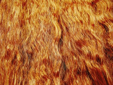 saç kıvırcık tarzı doku soyut moda arka plan