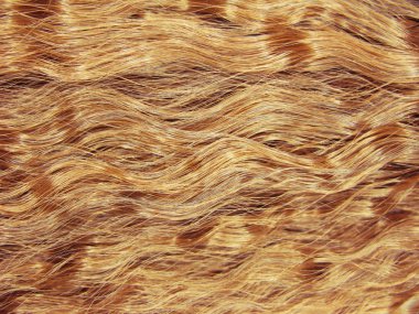 saç kıvırcık tarzı doku soyut moda arka plan