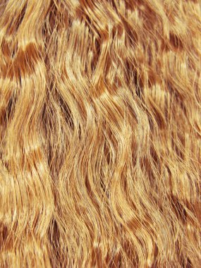 saç kıvırcık tarzı doku soyut moda arka plan