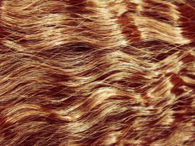 saç kıvırcık tarzı doku soyut moda arka plan