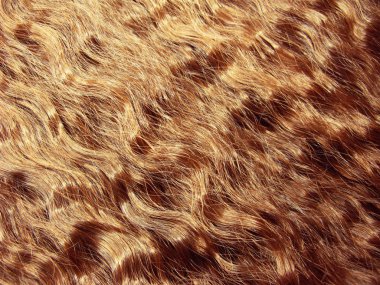 saç kıvırcık tarzı doku soyut moda arka plan