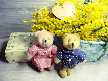 Mimoza sarı bush bahar çiçek arka plan 8 Mart kartı