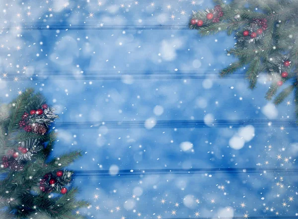 Winter background with fir branches cones and snow — Stock Photo, Image