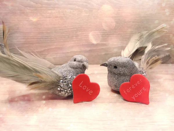 Pareja de aves decoración para el regalo del día de San Valentín amor — Foto de Stock