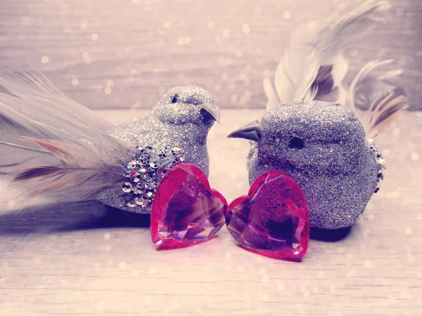 Pareja de aves decoración para el regalo del día de San Valentín amor — Foto de Stock