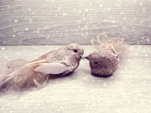 Pareja de aves decoración para el regalo del día de San Valentín amor — Foto de Stock