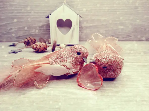 Pareja de aves decoración para el regalo del día de San Valentín amor — Foto de Stock