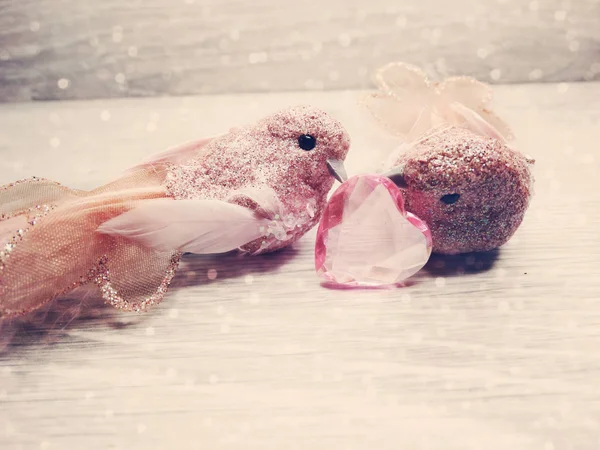 Pareja de aves decoración para el regalo del día de San Valentín amor — Foto de Stock