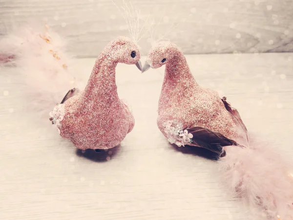 Decoração de pássaros de casal para presente de dia de amor dos namorados — Fotografia de Stock