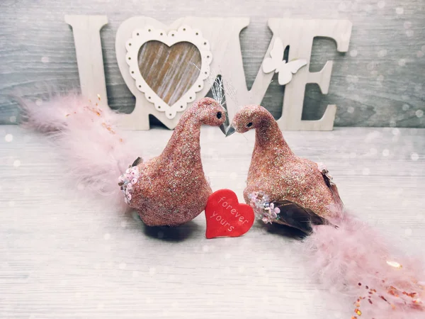 Pareja de aves decoración para el regalo del día de San Valentín amor — Foto de Stock