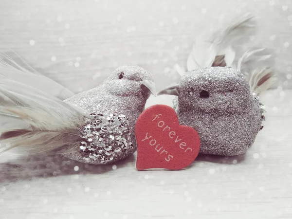 Pareja de aves decoración para el regalo del día de San Valentín amor — Foto de Stock