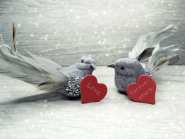 Pareja de aves decoración para el regalo del día de San Valentín amor — Foto de Stock