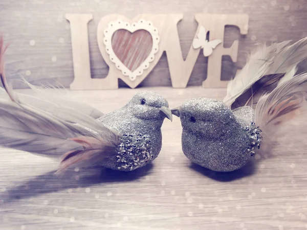 Pareja de aves decoración para el regalo del día de San Valentín amor — Foto de Stock