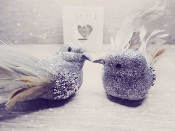 Pareja de aves decoración para el regalo del día de San Valentín amor — Foto de Stock