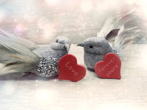 Par fåglar dekor för kärlek Alla hjärtans dag gåva — Stockfoto