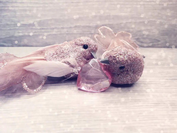 Pareja de aves decoración para el regalo del día de San Valentín amor — Foto de Stock