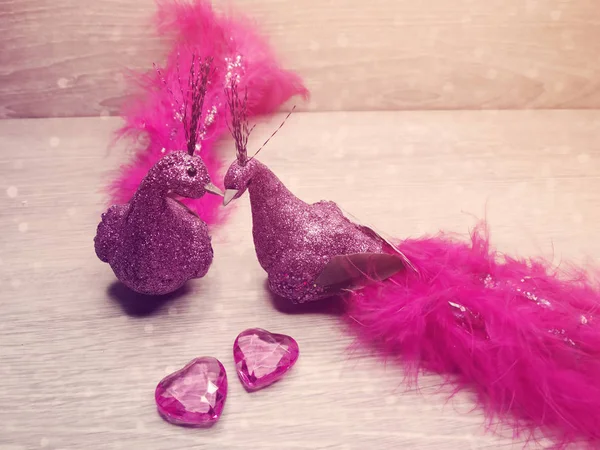 Pareja de aves decoración para el regalo del día de San Valentín amor — Foto de Stock