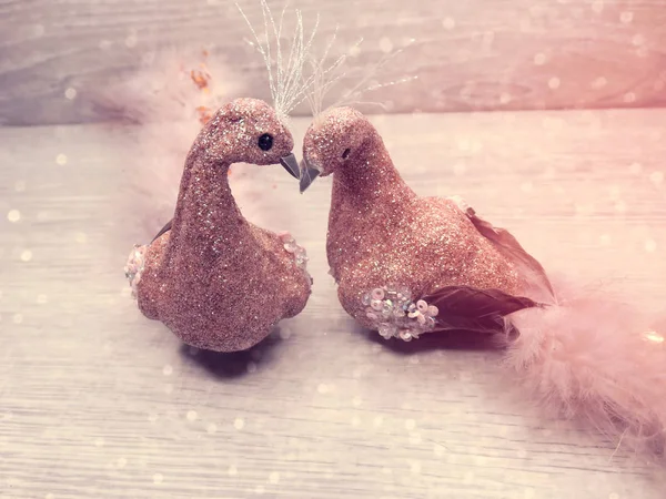 Pareja de aves decoración para el regalo del día de San Valentín amor — Foto de Stock