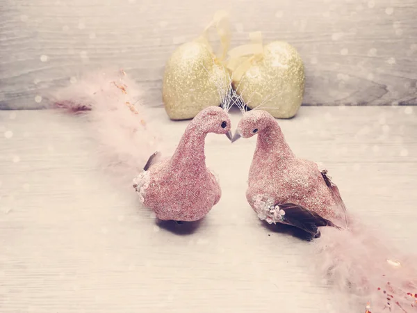 Pareja de aves decoración para el regalo del día de San Valentín amor — Foto de Stock