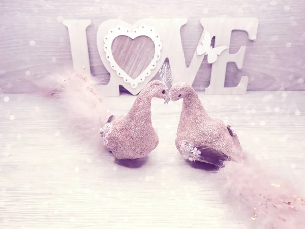 Pareja de aves decoración para el regalo del día de San Valentín amor — Foto de Stock